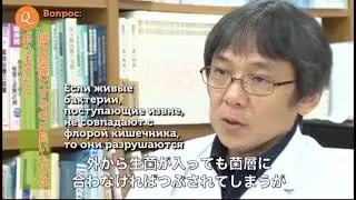 Дайго - какая связь кишечника и общего здоровья