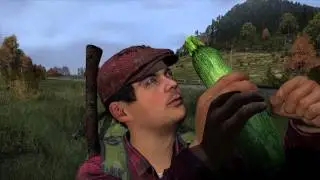 Getting Wood in DayZ