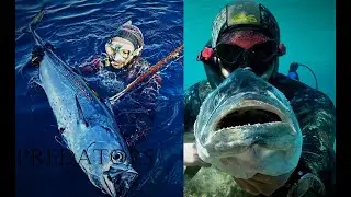 Pescasub: Predators - A caccia di predatori 30/12/2020