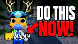 How To Get Animal Coins FAST In Animal Hospital!