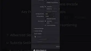 How to Export Videos with Subtitles in DaVinci Resolve • Step-by-Step Guide to Enable Subtitles