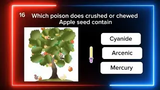 🎉 Think You Know It All? Take This General Knowledge Quiz and Prove It! 🧠