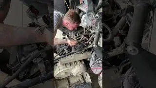 Фаталити