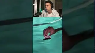 عيدتو الفيديو كام مره ؟؟😂