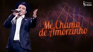 THIAGO BRAVA - ME CHAMA DE AMORZINHO (DVD TUDO NOVO DE NOVO)