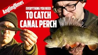The dream lure fishing kit for perch! 
