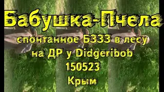 Бабушка-Пчела - Спонтанное БЗЗЗ в лесу на ДР у Didgeribob - 150523