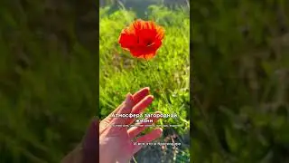 #семейныйканал