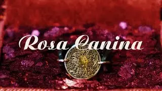 Rosa Canina Reklam Filmi