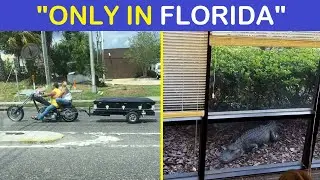 “Only In Florida” Unhinged Things People Witnessed Happening In The Sunshine State | Happy And Fun