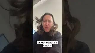 Ce vede stafida din cozonac