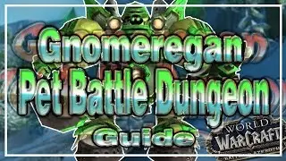 Gnomeregan Pet Battle Dungeon Guide│Battle for Azeroth
