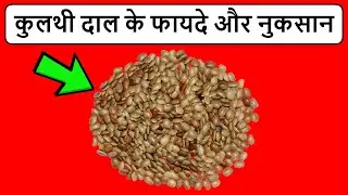 कुलथी दाल के फायदे और नुकसान || Kulthi Dal Ke Fayde Aur Nuksan