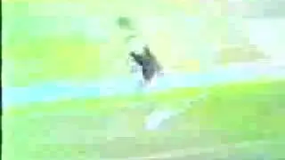3 бланжа