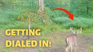 Final Farm update| Hanging stands| Foodplots| Access|