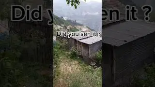 Can you see it?🤔
