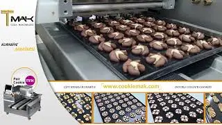 Двухбункерная отсадочная машина PAIRCOOKIEMAK