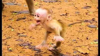 Best S-adly Mom Was B-eating Baby LEO H-ardly Even Baby LEO Try To E-scape For H-elp From Other Mom