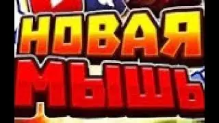 новая мыш