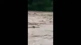 ПОТОП НА ТЕРНОПІЛЬЩИНІ: через сильну зливу затопило село