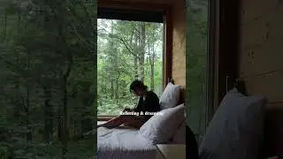 POV: You booked a tiny cabin in the woods to spend a few days resting & reflecting.🌻 