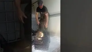 Repopulare cu #crap pe Lacul Boteni 1. Hai la #pescuit de ZI la partida C&R la pret de 50 de lei