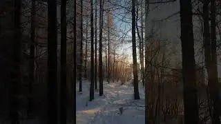 Как же прекрасны времена года. Зима 2022