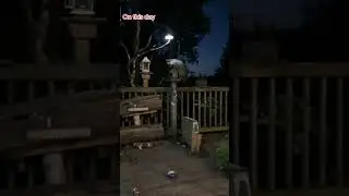 Raccoons at the Diner , on this day 2 years ago. Peanut Butter Club Diary