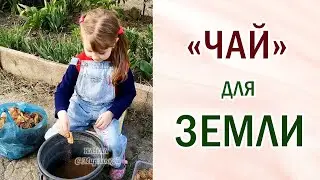 Чайные пакетики для земли. Улучшаем структуру почвы. Всё в дело. 