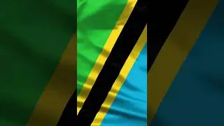 | TANZANIA | Waving Flag | 1 Hour | 4K