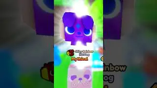 I GOT THE NEW STRONGEST PET In Pet Simulator X 