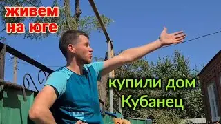 Купила усадьбу на юге. Шпалера. Ставни. Козырек... Работаем на участке.  27 августа 2024 г.