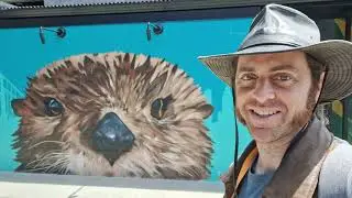 An Introduction to the Marine Mammal Center