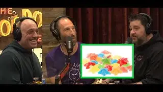 Psychedelics Messing with the MIND: Joe Rogan, Ari Shaffir and Big Jay