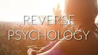 A Psychedelic Soundscape for FlowState/Massage/Study