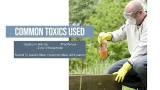 London Acid Attack | FAST ACT Chemical Decontamination Solution