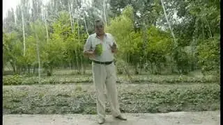 Шайтан плёнка