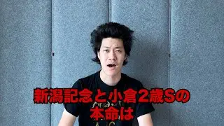 生涯収支マイナス３億円君の新潟記念&小倉2歳S予想