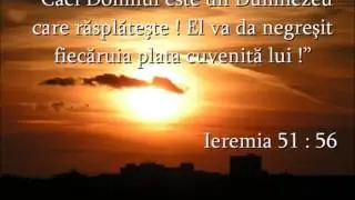 Adi Pop   Ca vantul zboara anii