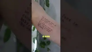 Дорого или нормально?
