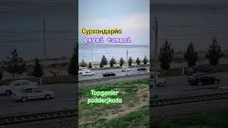 TREND 