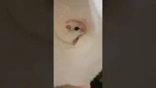 Твикс...