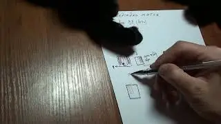 как мы подсаживаем маток