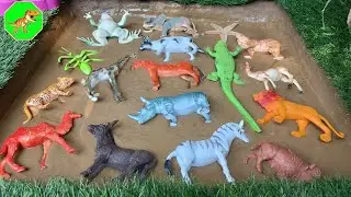 "Muddy Adventure Safari: Rescuing Animals & Fun Facts! 🦁🐮🐸 | Dino World TV"