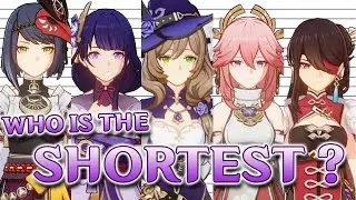 Genshin Height Tier List | Tall Female version