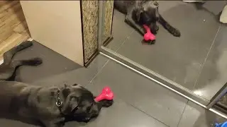 Обновки для сыночка . Ни дня без приключений .