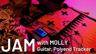 Jam Session with Molly, Guitar, Polyend Tracker and Volca Drum.
