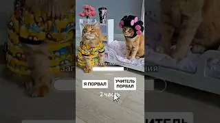 Помогите котику выбрать 2 часть 