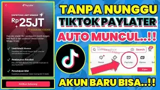 Resmi Ojk ✅ Tiktok Paylater Tidak Muncul ? Cara Memunculkan Tiktok Paylater Tercepat Pengguna Baru