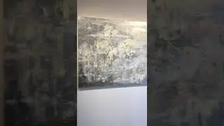 Michelle Sakhai, Inner Movement, 2016. Oil and metal leaf on canvas, 40 x 60 in.